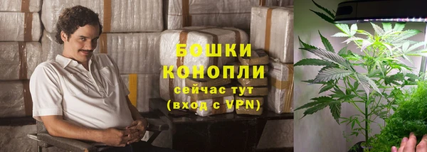 гидропоника Белоозёрский