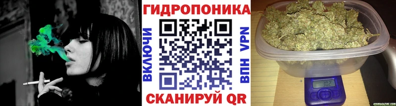 Бошки Шишки планчик  Бутурлиновка 